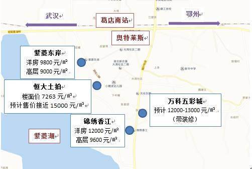 葛店开发区房价动态解析，最新趋势与市场分析