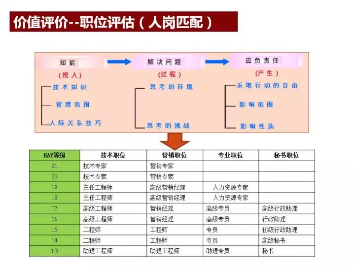 新澳天天开奖资料大全三中三,灵活性策略解析_特别版48.29