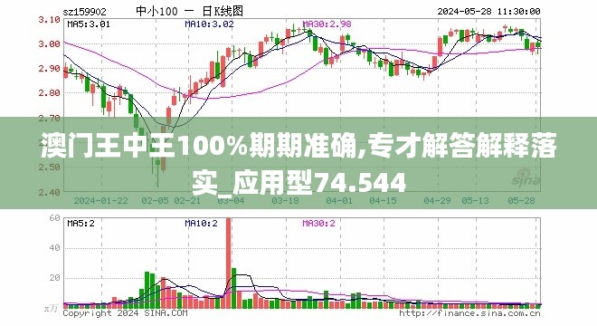 澳门王中王100%期期中,稳定设计解析_suite94.255