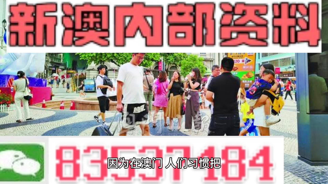 2024澳门正版精准免费｜决策资料解释落实