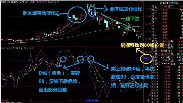 新澳天天开彩资料大全｜实用技巧与详细解析