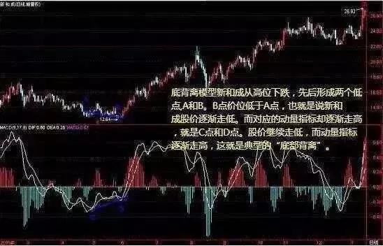 四肖期期准四肖期准开｜实用技巧与详细解析