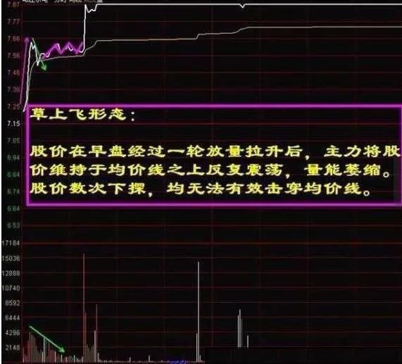 白小姐今晚特马期期准金｜实用技巧与详细解析