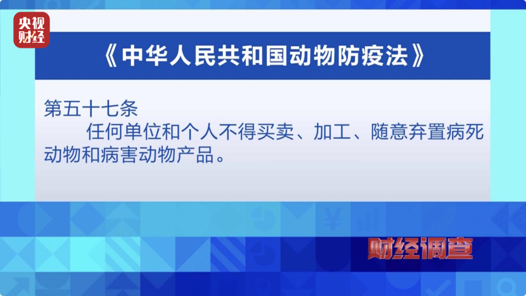 4949澳门开奖现场开奖直播,实地考察数据解析_旗舰款35.706