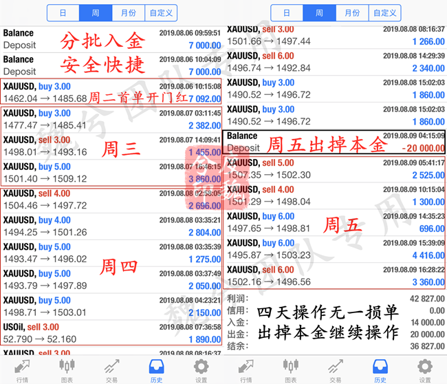 新奥精准资料免费提供综合版,收益成语分析落实_Tizen84.458