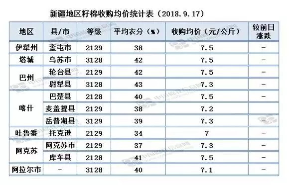 2024年12月31日 第23页