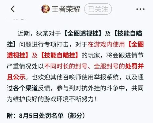 王者荣耀外挂与游戏辅助工具的发展及其影响